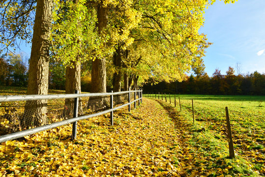 Normandie, The Picturesque Village Of Lyons La Foret