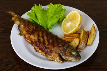 Grilled trout