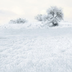 Fototapeta na wymiar winter and snow 