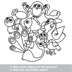 Birds  mishmash set in vector.