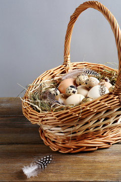 fresh eggs in basket