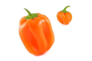 Fototapeta na wymiar Orange Bell Peppers