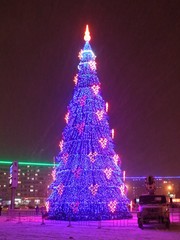 Новогодняя елка