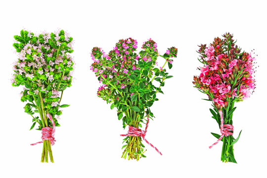 bl&uuml;hender majoran, thymian und ysop