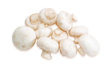 Pile of champignon mushroom on a light background