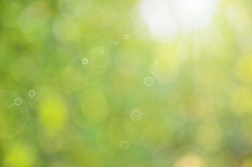 Green nature bokeh with sun light abstract background.