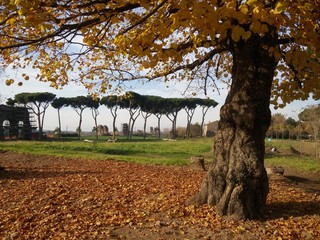 park in autumn