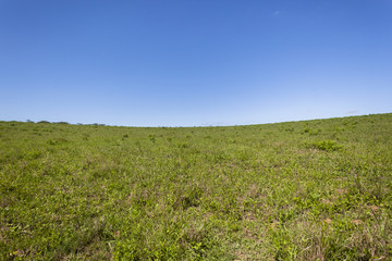 Grasslands Hillside Blue summer wilderness landscape