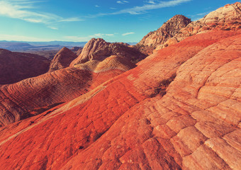 Naklejka premium Yant flat