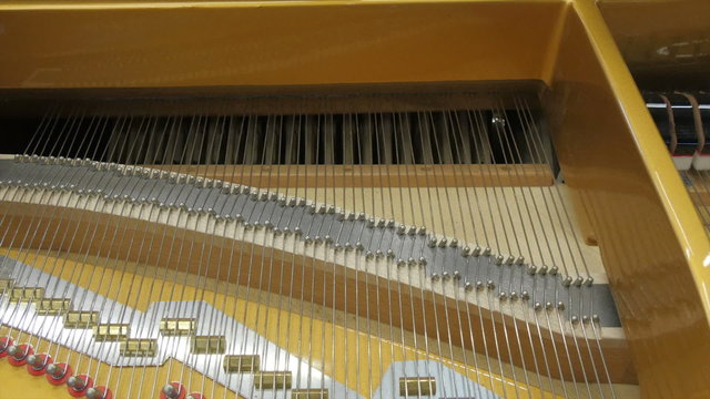 Strings of the old piano at the back. The piano is playing because the strings are moving