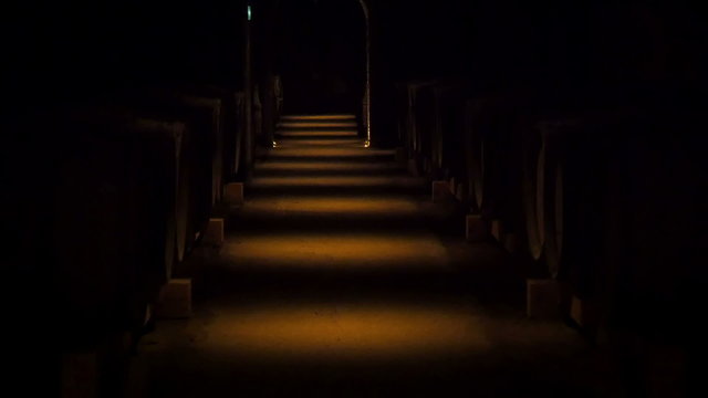 The dark room of the wine cellar in Paris. It is where the wines are being stored before production