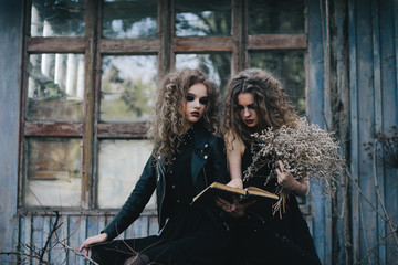 Two vintage witches gathered eve of Halloween