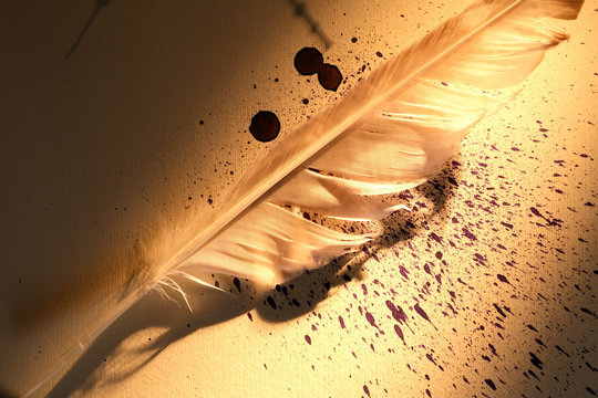 Feather And Ink Blots