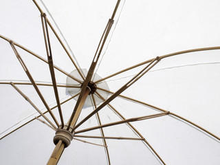 white umbrella texture