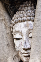 Fototapeta na wymiar Buddha face ,Buddha head encased in tree roots