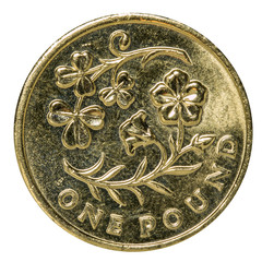 One Pound Coin (2014 design)