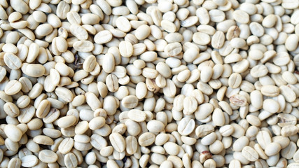 raw white green beans of coffee before roasting