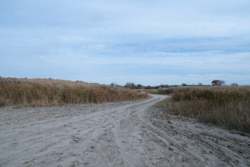 dirt road