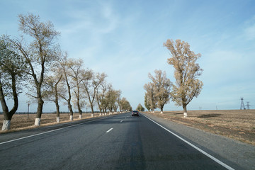 Fototapeta premium road