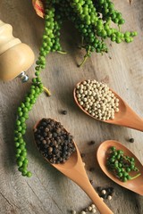 Green seeds with dried pepper