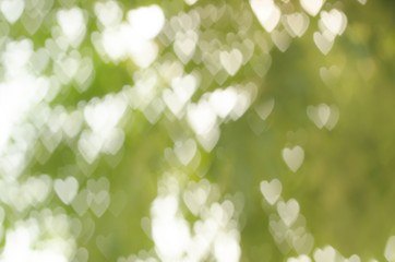 Fototapeta premium Heart Bokeh.