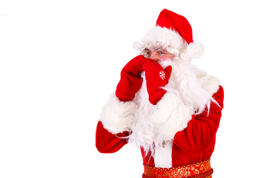 Santa Claus Portrait shouting or calling Isolated on White Background. Xmas Concept