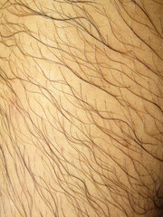 Mans hairy leg