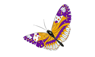 Obraz na płótnie Canvas Butterfly fun
