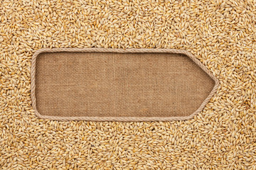 Pointer made from rope with grains barley lying on sackcloth