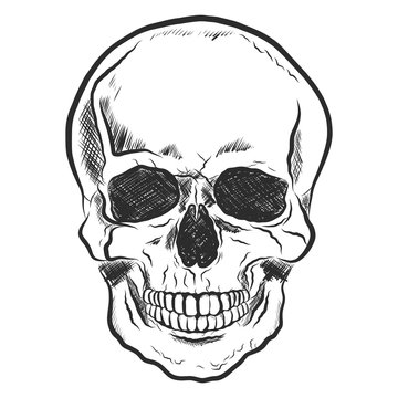 Totenkopf | Skull | handgezeichnet
