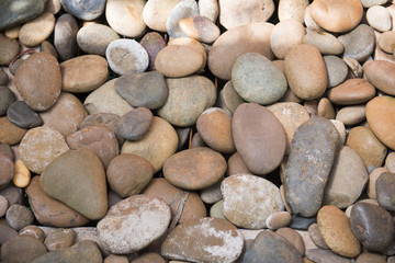 rock for decoration garden in home