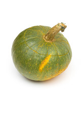 pumpkin on the white background