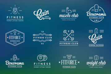 Set of Vector Fitness Aerobics Gym Elements and Fitness Icons Illustration can be used as Logo or Icon in premium quality Flat Icons Style