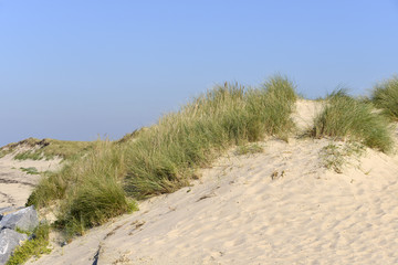 Dune of Pirou in France