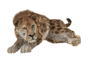 Big Cat Sabertooth