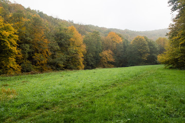 Autumn in the Ardennes, Belgium.