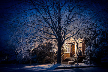 A big tree and home covered in snow with front porch light on late in the evening.