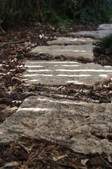 Stone Path. A stone path Surrounded by tuff block, (toph blocks) as ground cover.