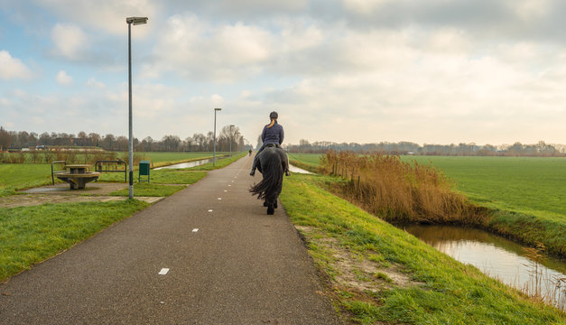 Unknown female horse rider rides on a bicycle path in a rural area.