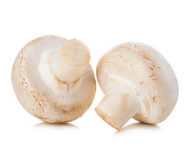 Champignon mushrooms close-up isolated on a white background.