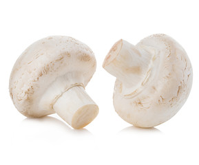 Champignon mushrooms close-up isolated on a white background.