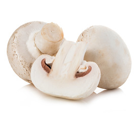Fototapeta na wymiar Champignon mushrooms close-up isolated on a white background.