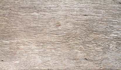 Fototapeta premium Old wooden texture background.