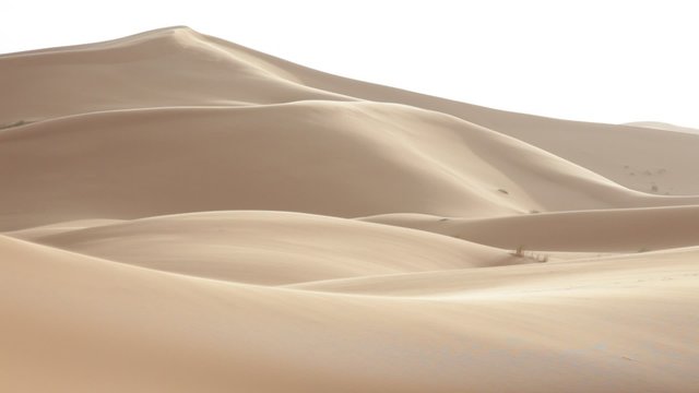 Desert Landscape: big sand dunes in a windy day; Erg Chebbi, Morocco - HD1080p by Canon 5D