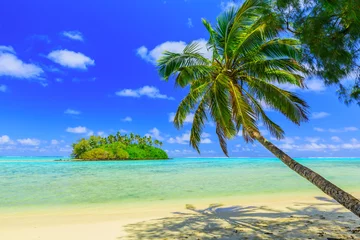 Foto op Plexiglas Rarotonga, Cook Islands. © SCStock