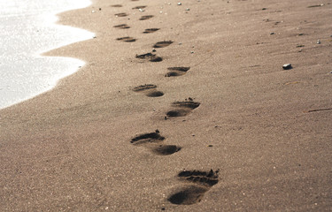 Fototapeta na wymiar Footprints in wet sand of beach