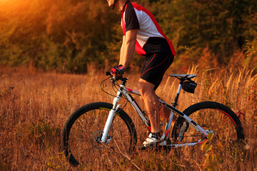 Fototapeta na wymiar Man Cyclist Riding on bicycle in the Summer Forest