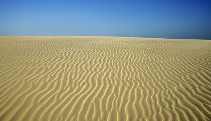 Fototapeta na wymiar Dunes landscape in Lencois Maranhenses National Park, Brazil.