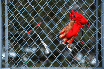 Lost Glove