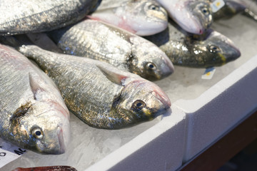 sea breams